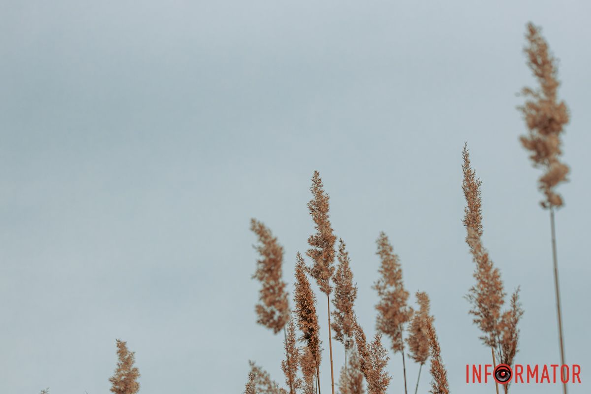 Його так багато і мало