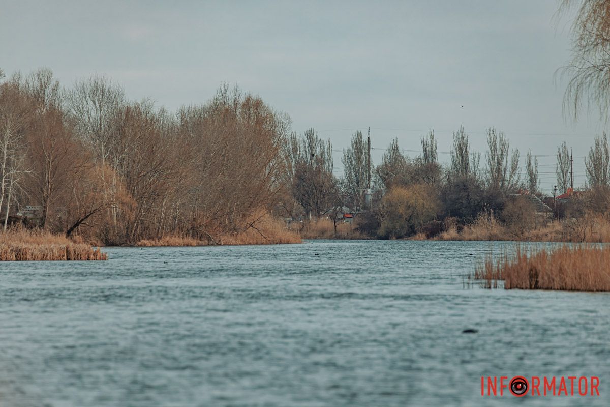Смереки, наче наречені,