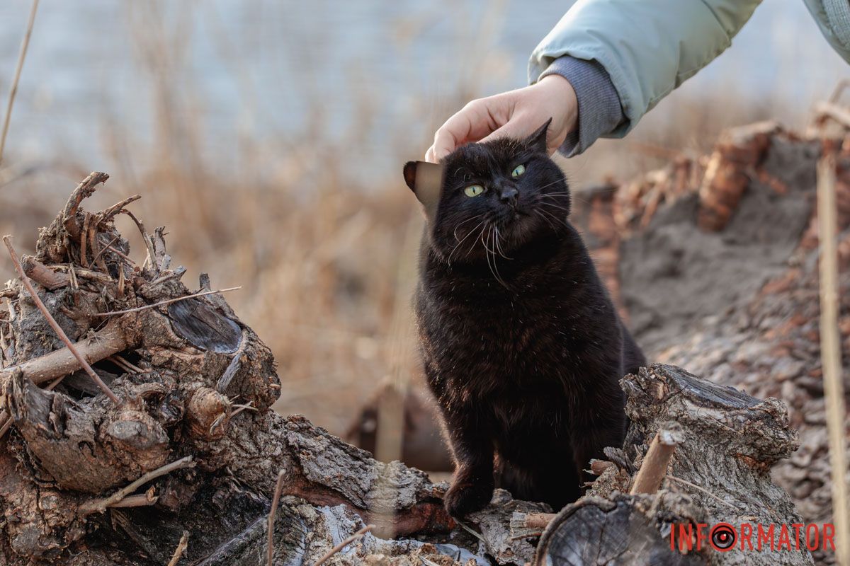 Ми такі з ним... старі...  й молоді...