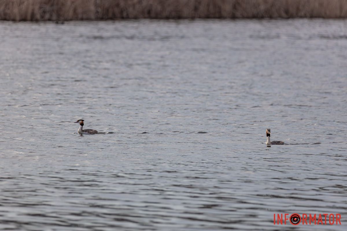 В його кришталевій воді,