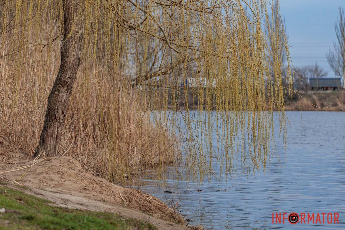 То дощик по нього бреде.