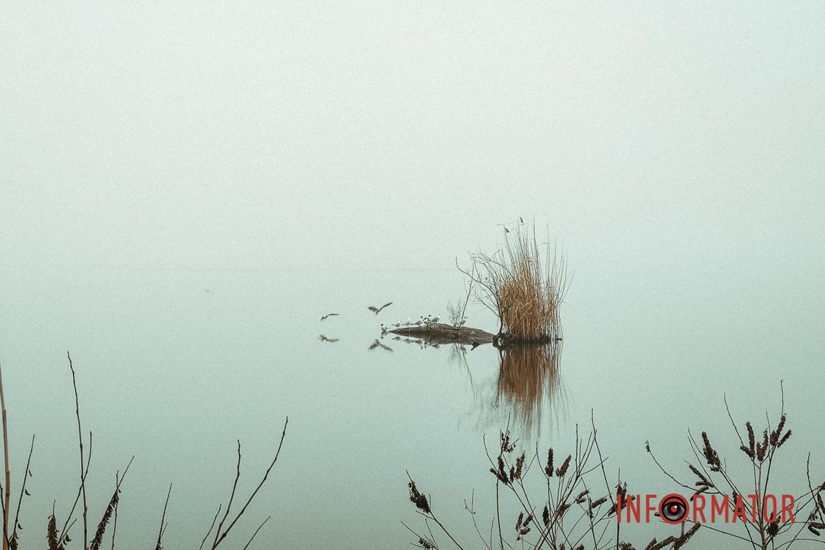 Туман змушує зупинитися й поглибитися у світ думок