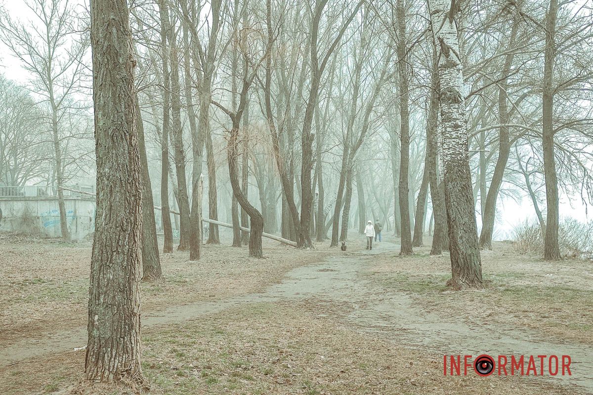 Коли туман обіймає все