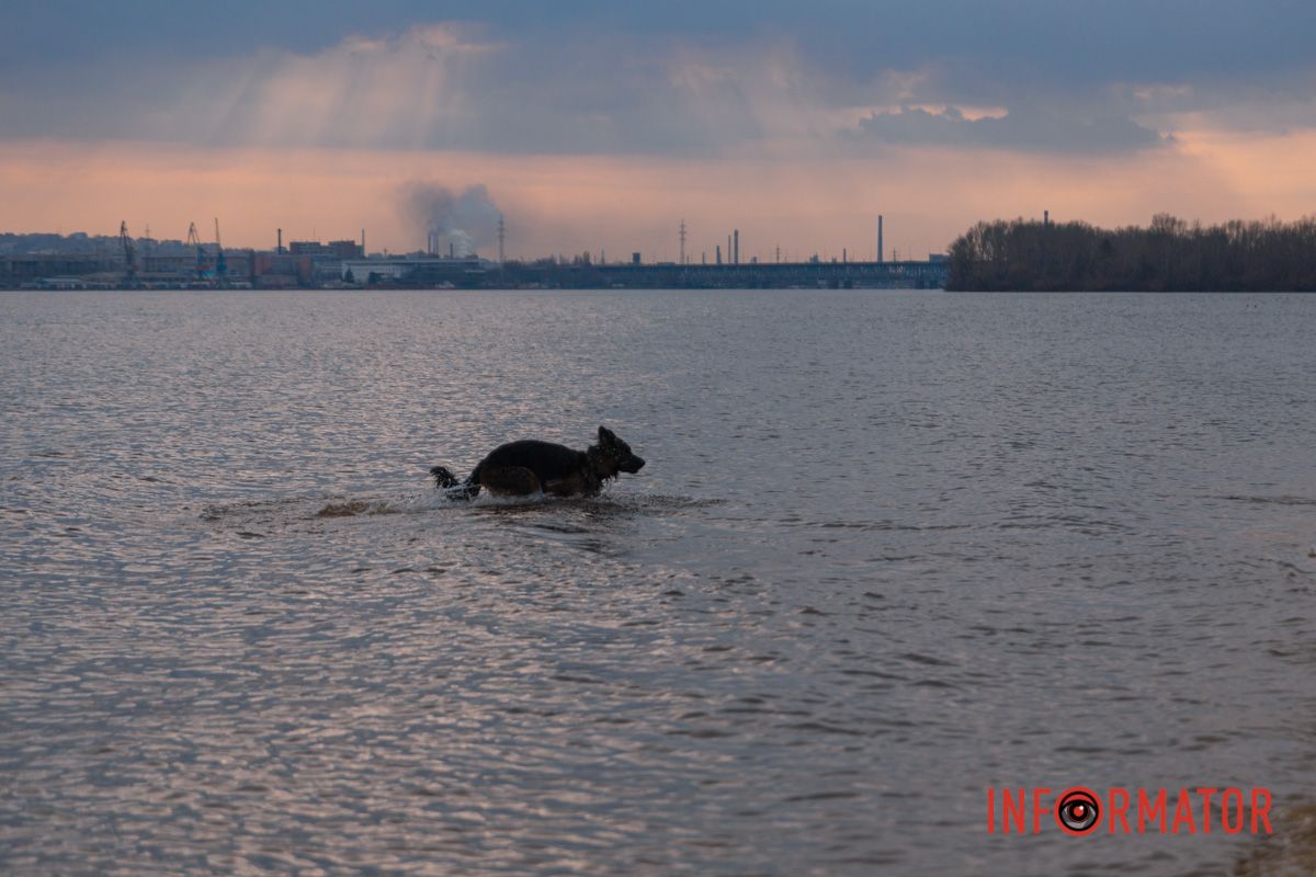 Не тільки своїми мальовничими пейзажами славиться Дніпро