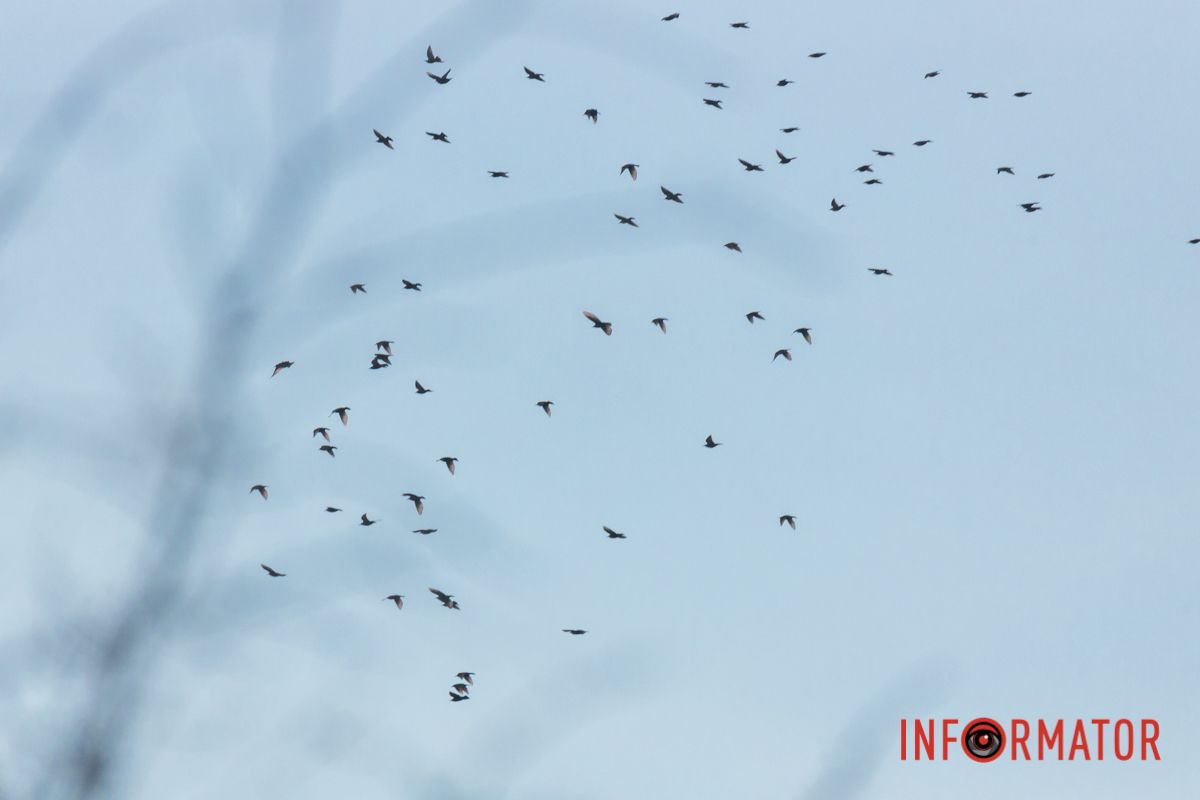 Кольори закату розливаються у небесній акварелі