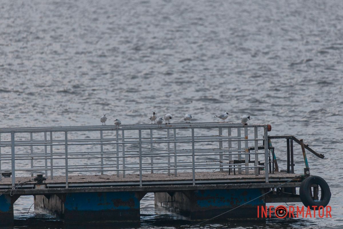 Посміхаємось та махаєамо