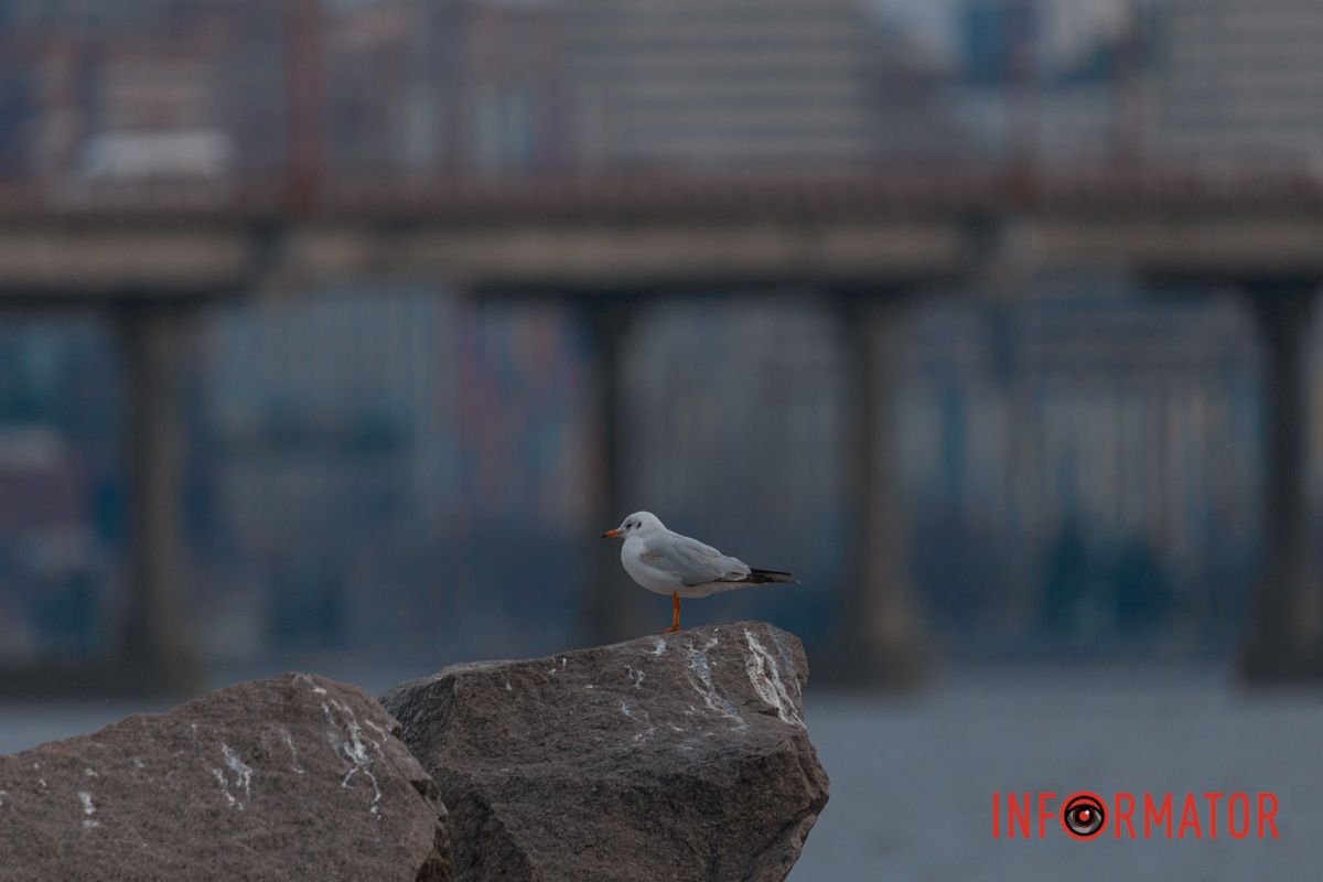 Природа вміє підбирати кольори