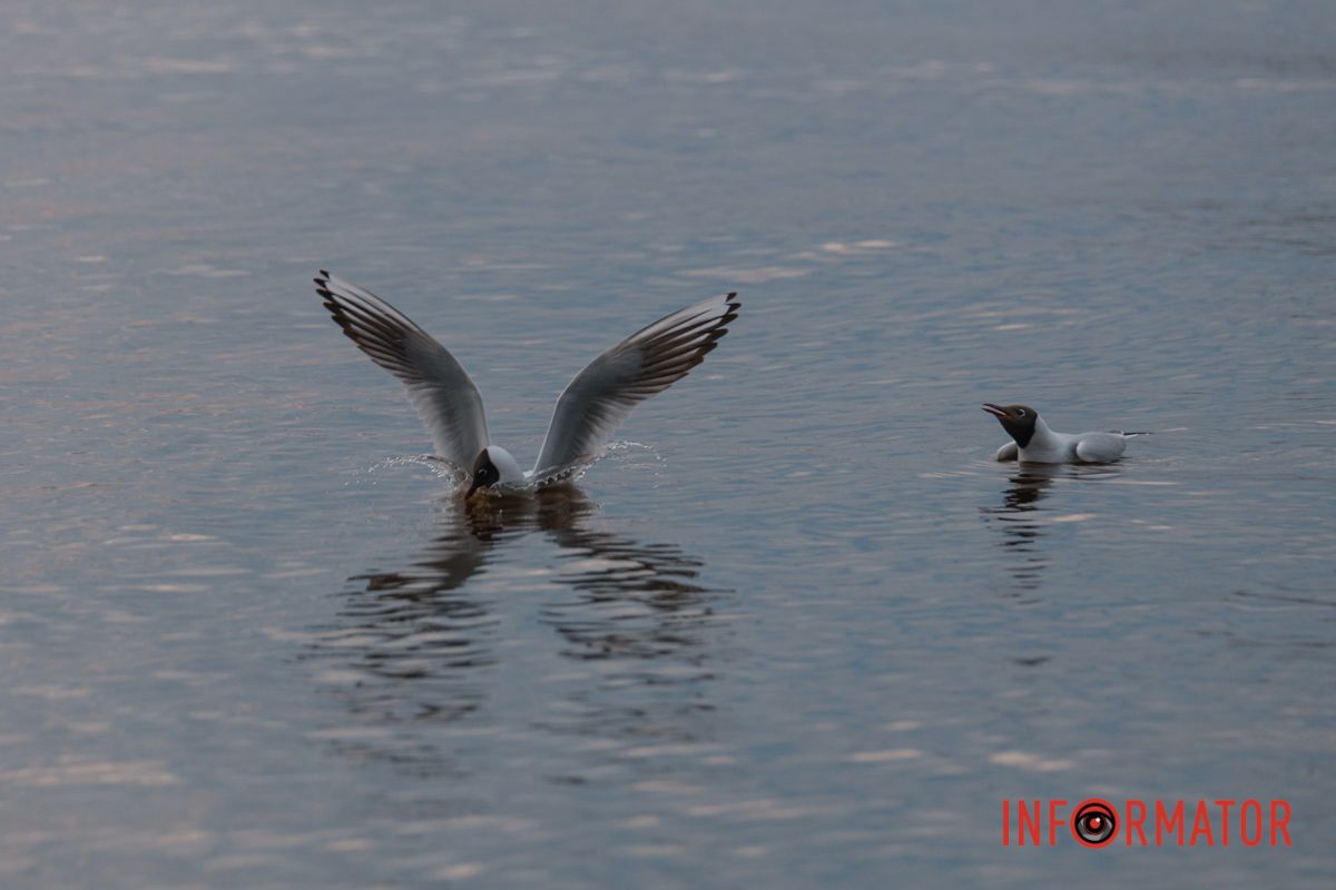 Миті кохання