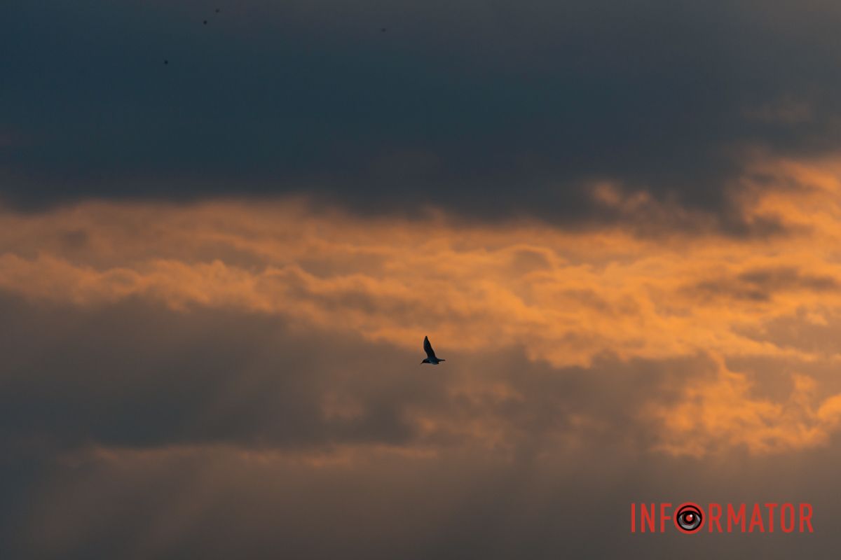 Колірний етюд