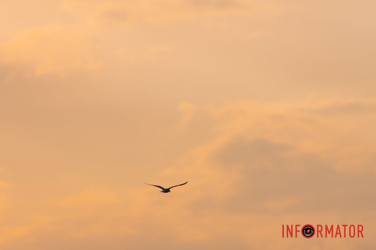 Теплі дотики сонячних променів