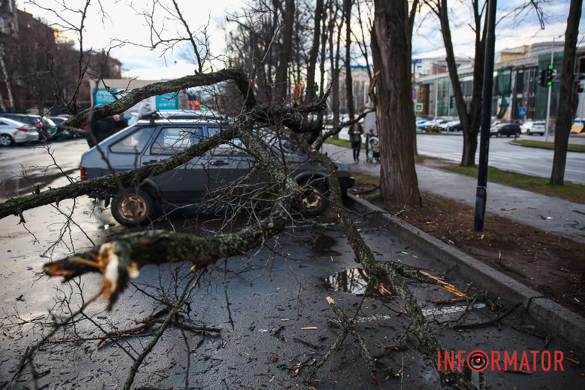 Гілки Гілки