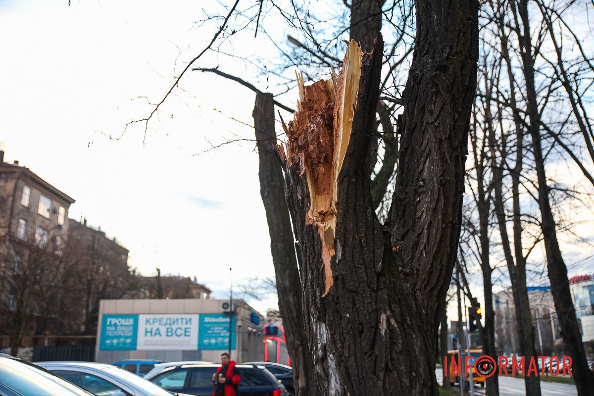 Дерево Дерево