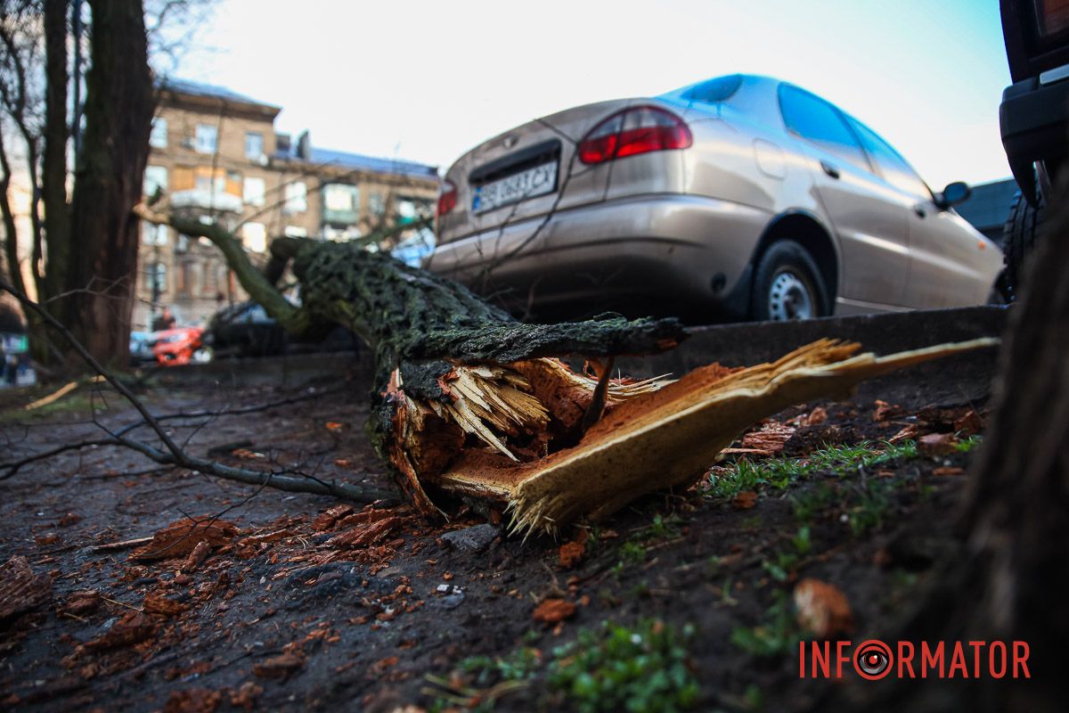 Фото: Андрій Шушпан Фото: Андрій Шушпан