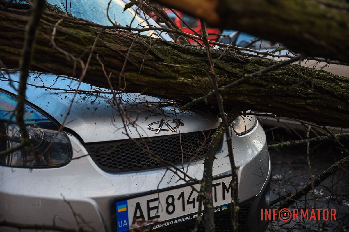 Дерево Дерево