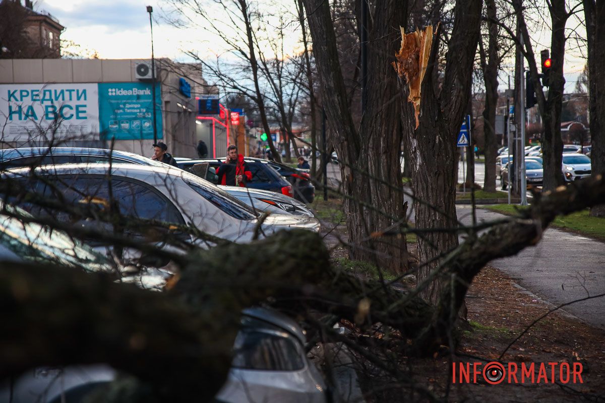 В неї розбито лобове скло В неї розбито лобове скло