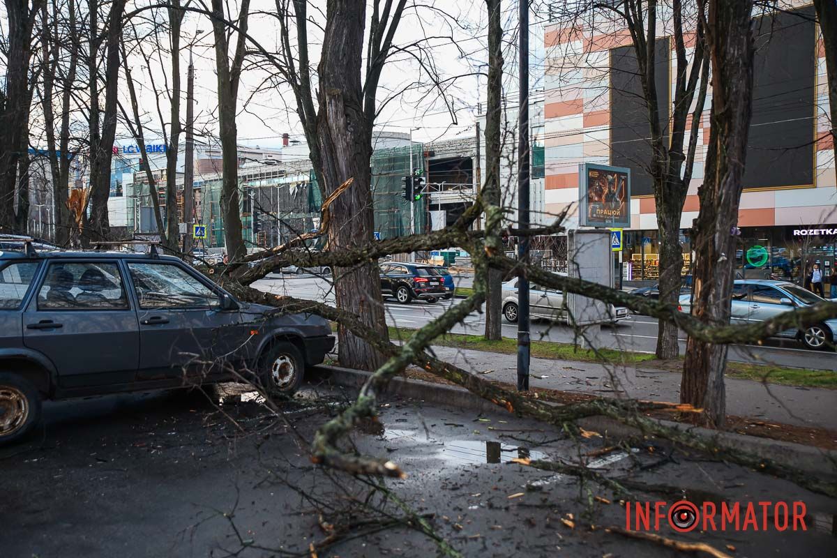 Дерево пошкодило автівку Chery Дерево пошкодило автівку Chery