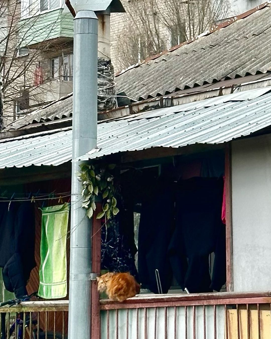 oksana_stash oksana_stash