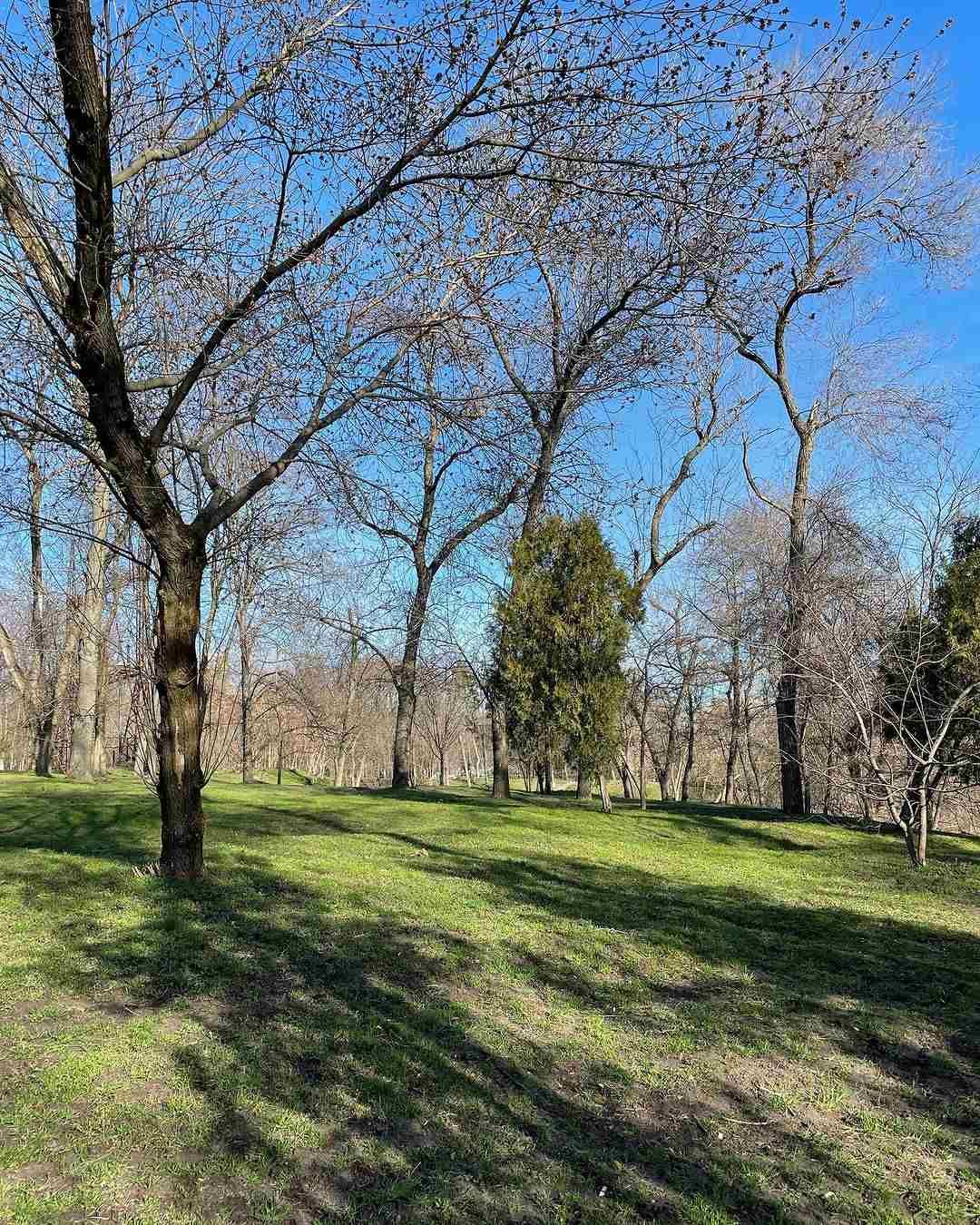 _alexik_smail _alexik_smail