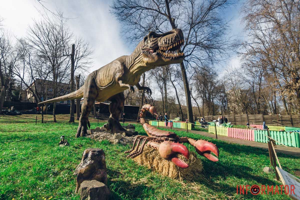Дракон Дракон