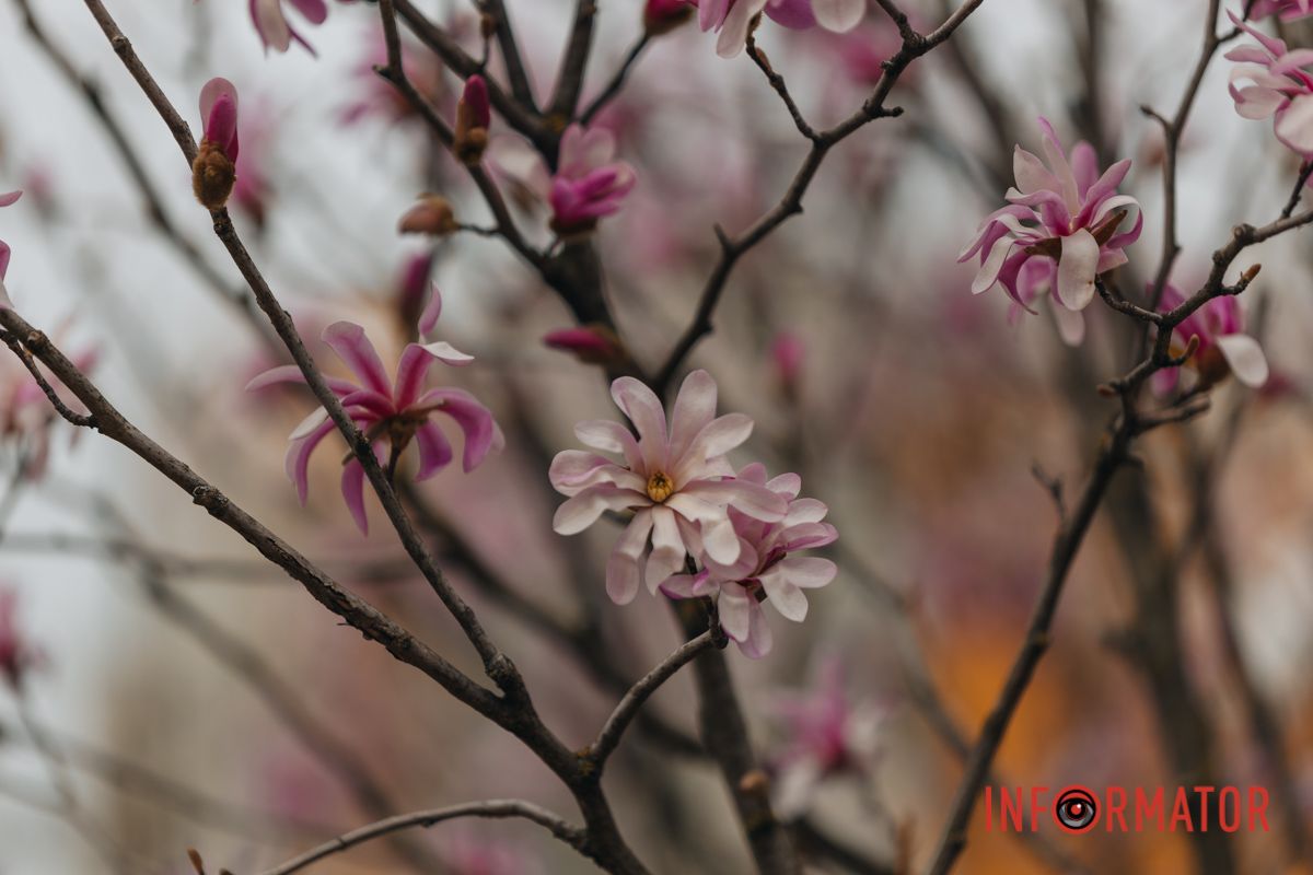 Це підтверджують палеонтологічні знахідки