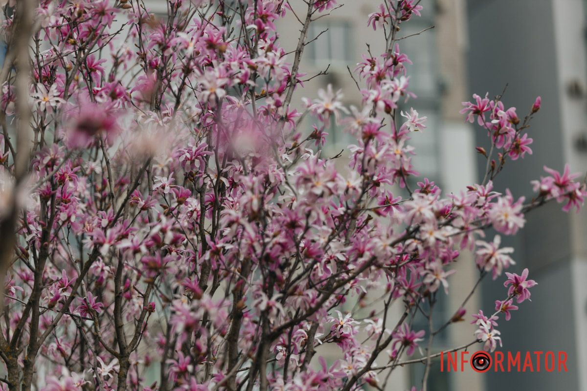 Яскраві кольори