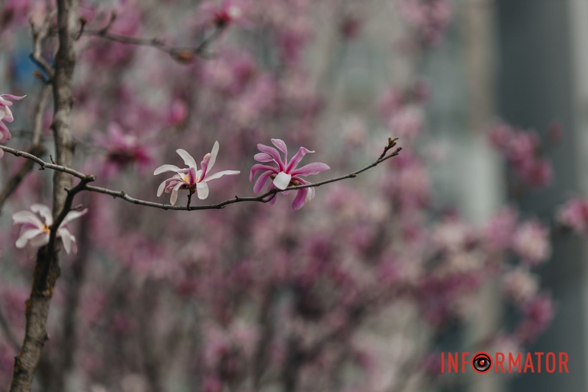 А ще один вірш написав Володимир Сосюра