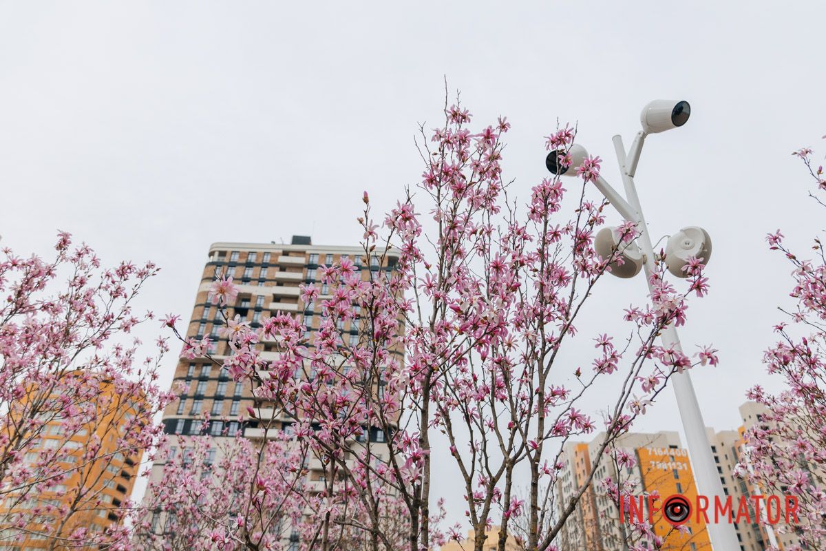 Ловіть момент