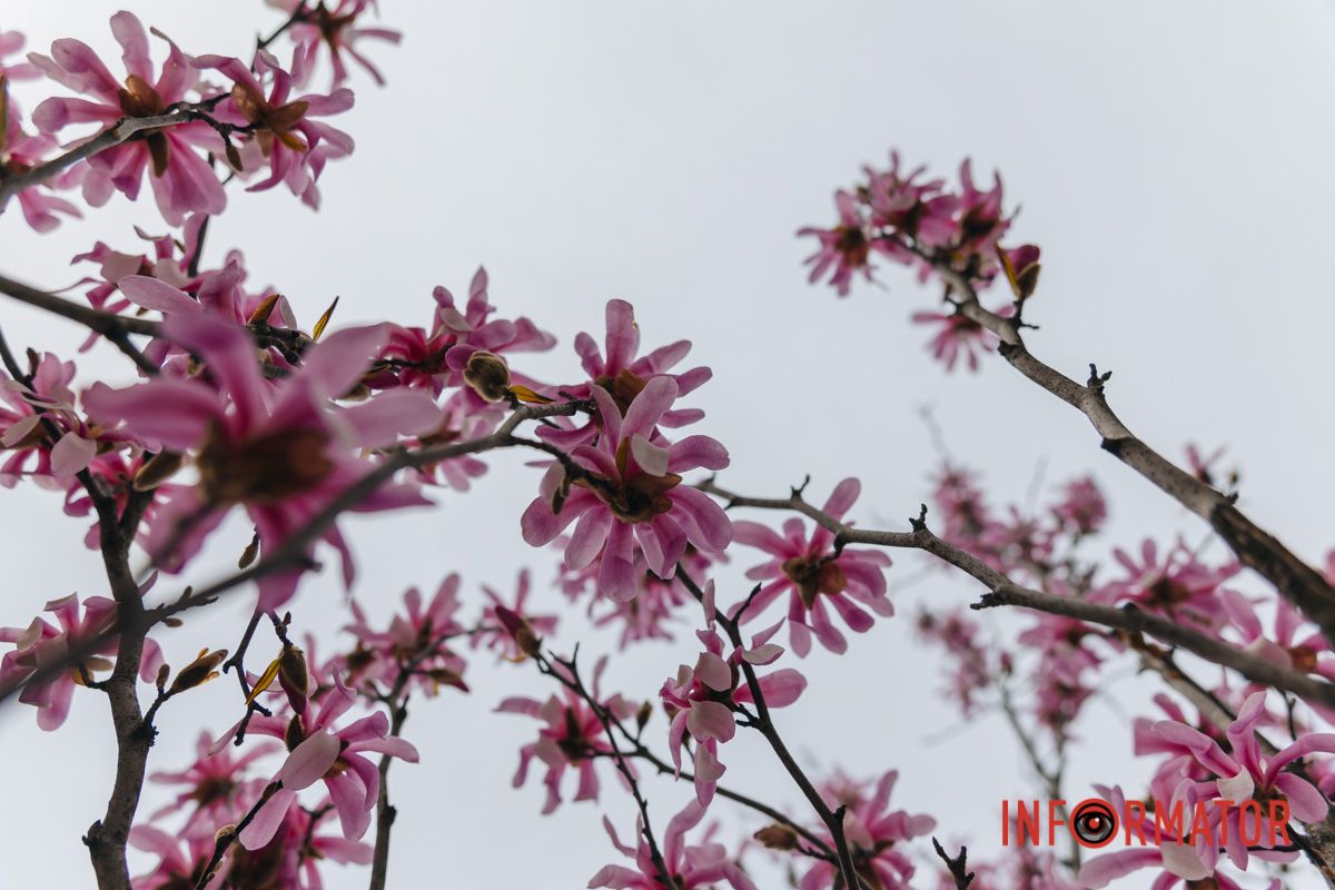 А там панелі ще в снігу