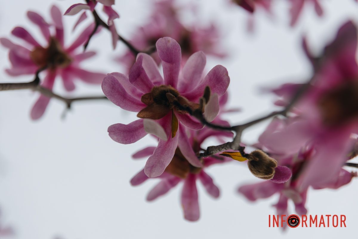 І серце стало теплим, наче літо