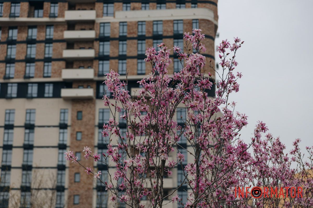 А в небі огненні гранати,