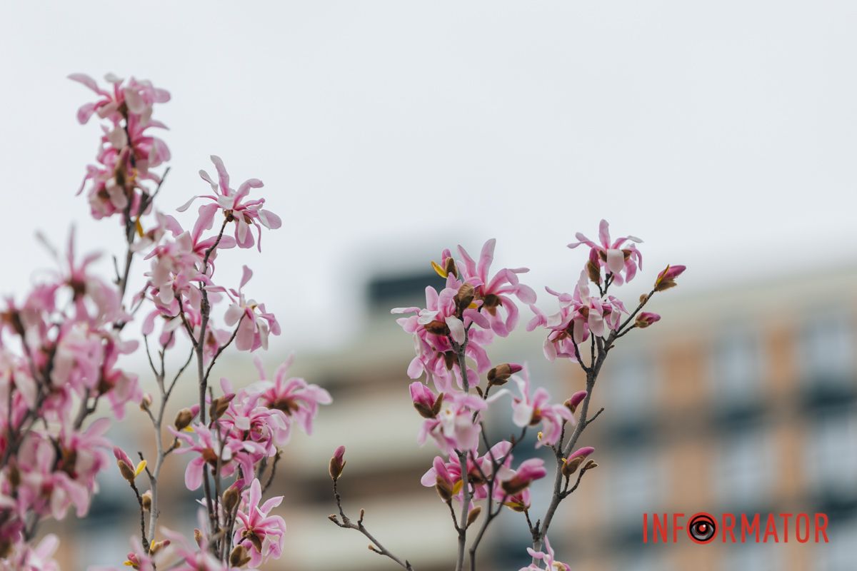 О, моря гул! О, моря гул…