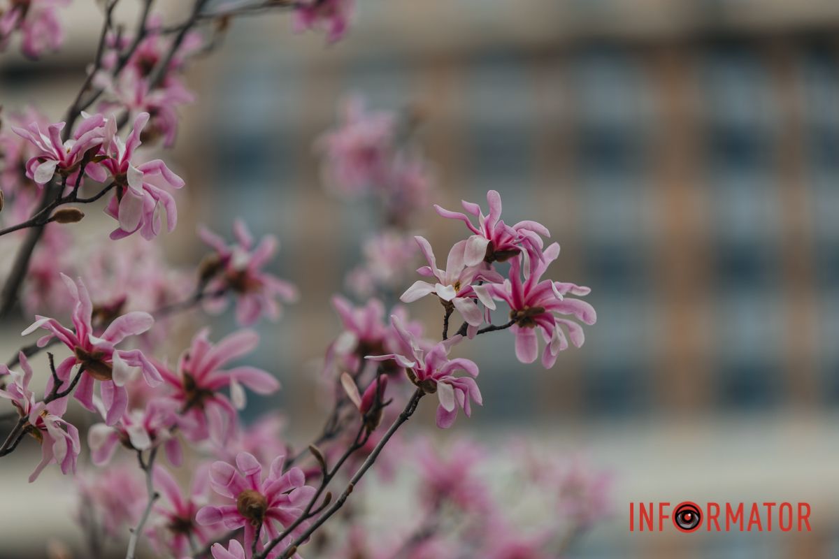 Зустрів її, приклеївся магнітом