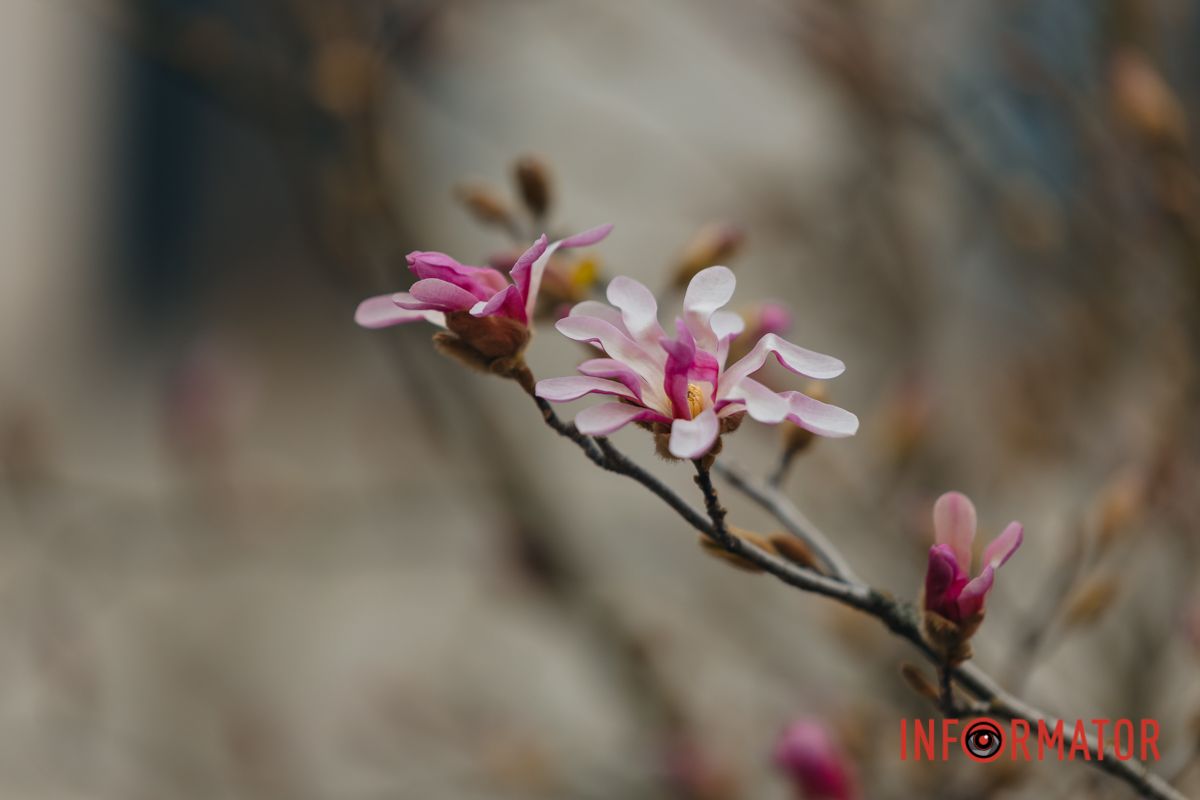 З душі усяку суєту  мете