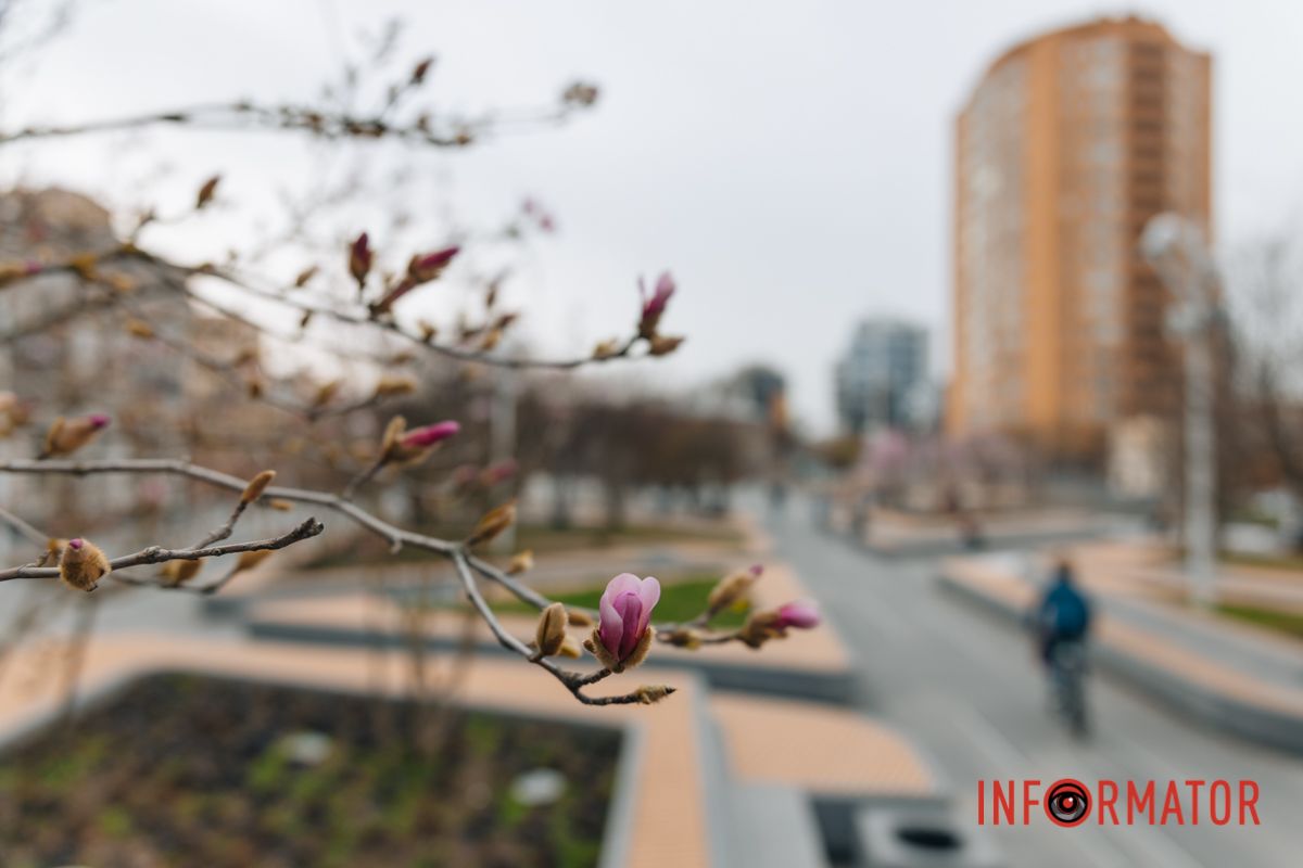 Вона несе в собі магічну силу