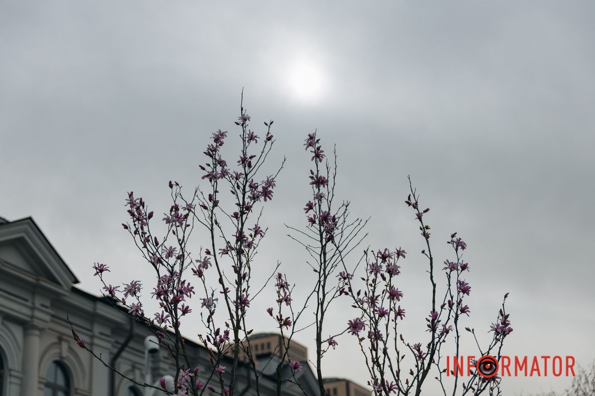 А в небі огненні гранати,
