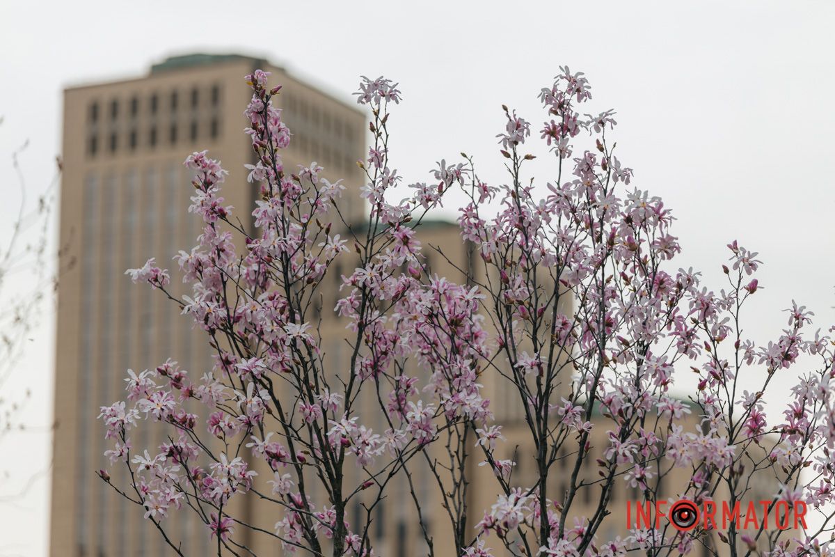Я чую, як біжать секунди,