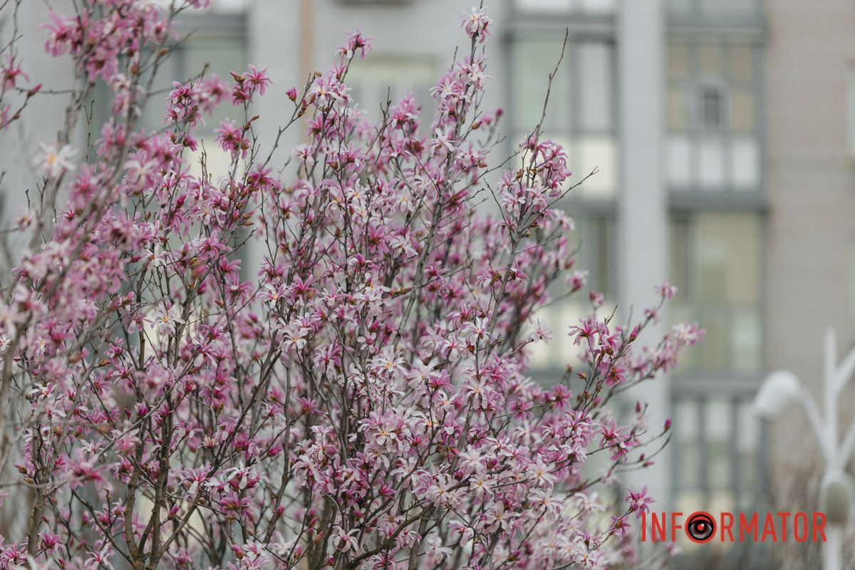 Самі народжені од хвиль.