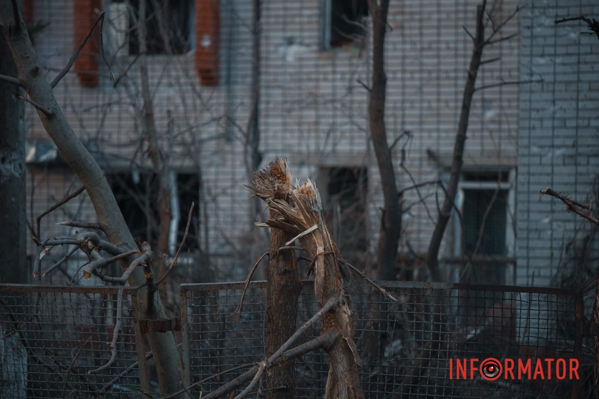 Понівечене дерево