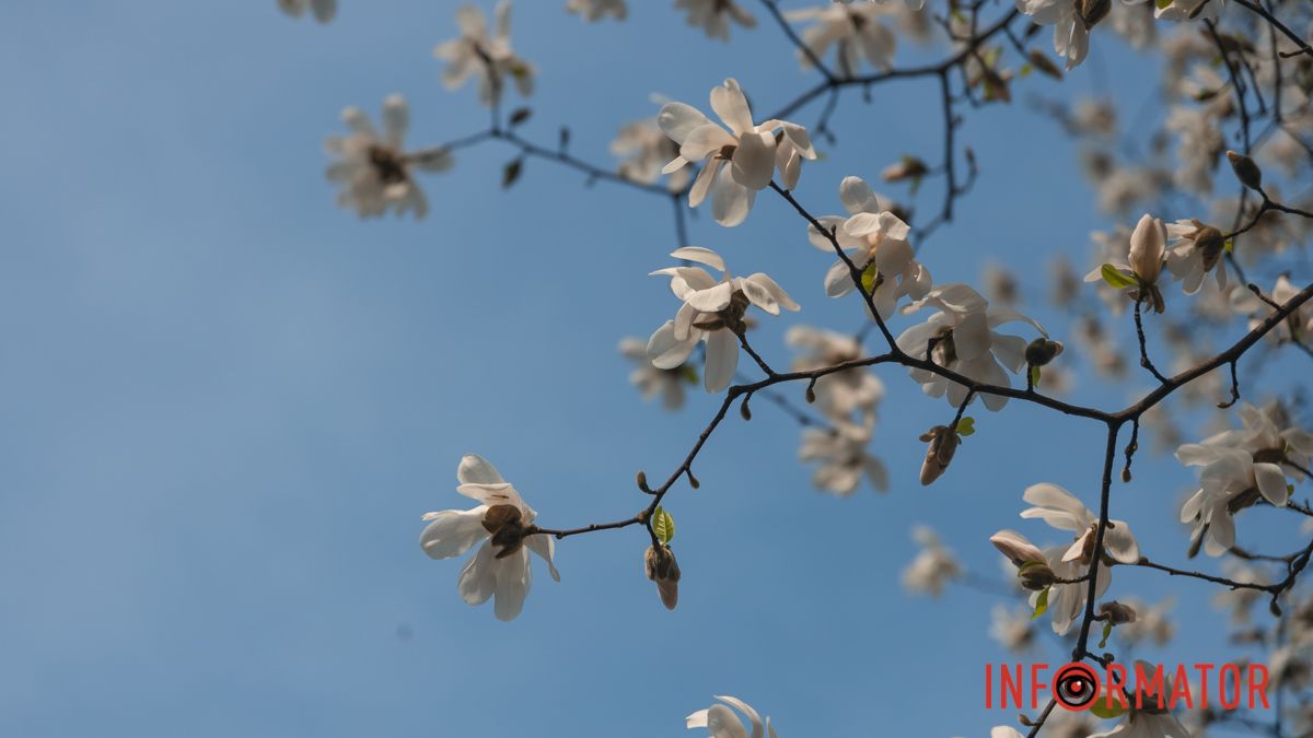 Погода на 4 квітня: у Дніпрі буде слабка хмарність