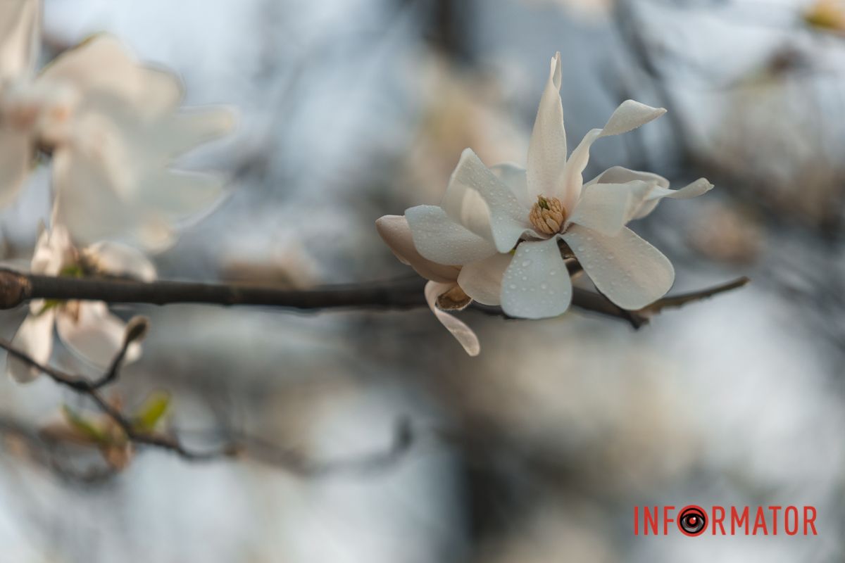 Про це свідчать палеонтологічні знахідки