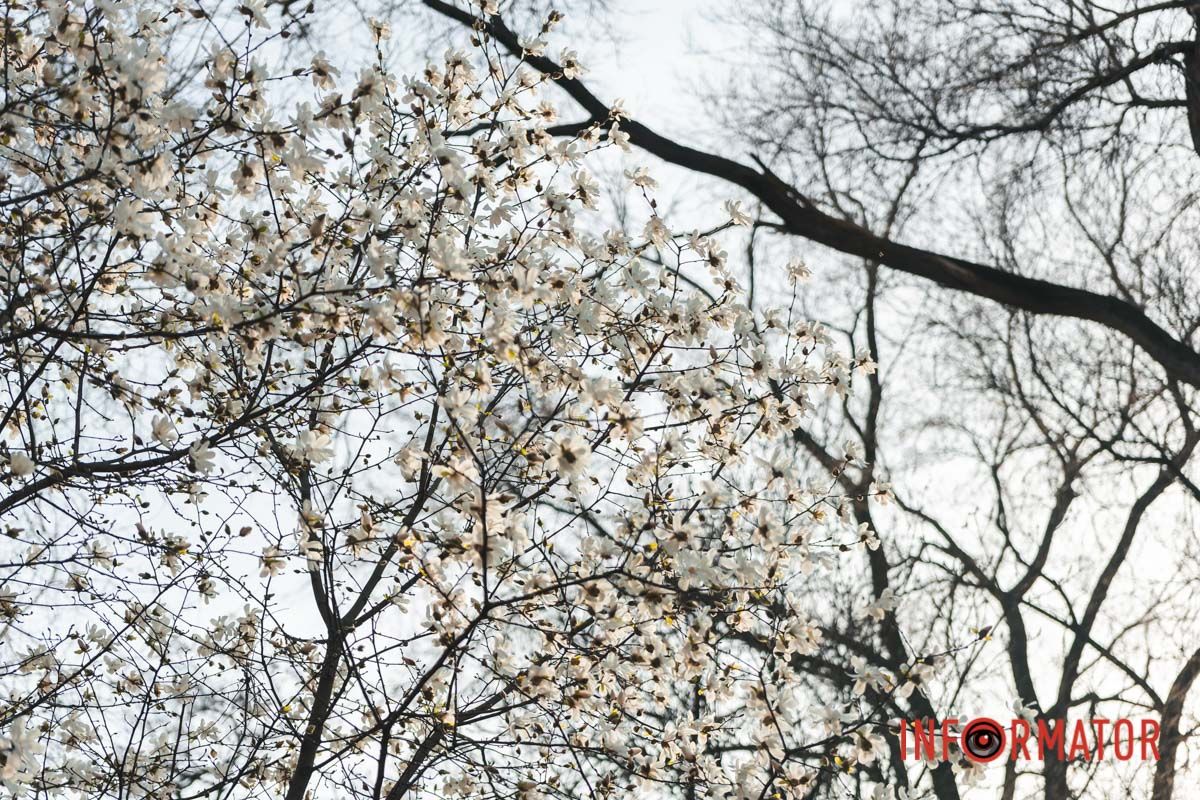 Наші оператори стараються для вас