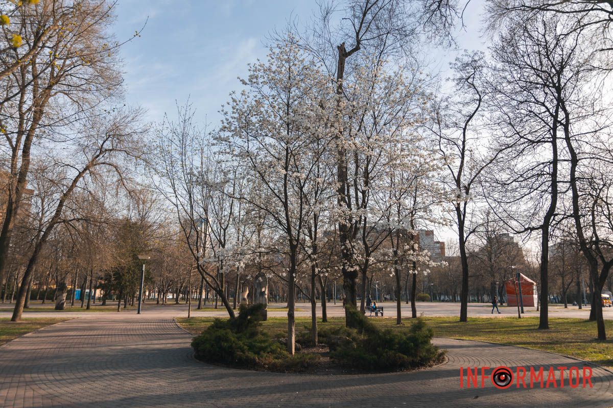 Шукайте у Сквері Героїв у Дніпрі