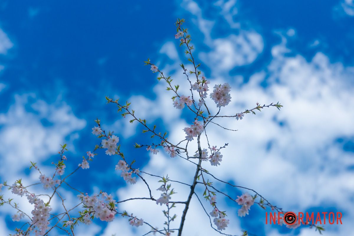 І що їй пліточки, і голосні обмови?