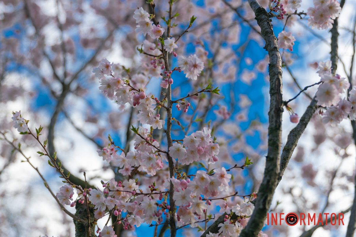 Красується собі над часовим потоком,