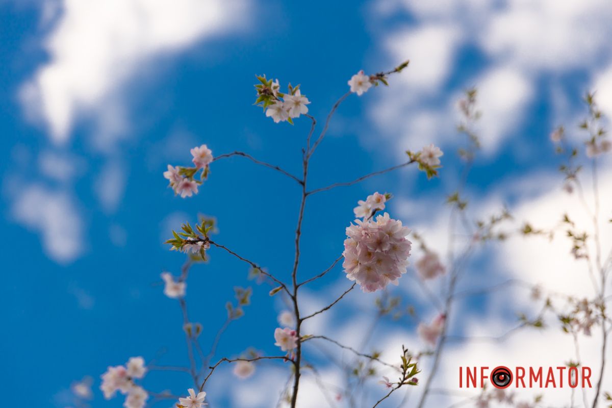 Чаклує і зміта кордони і орбіти.