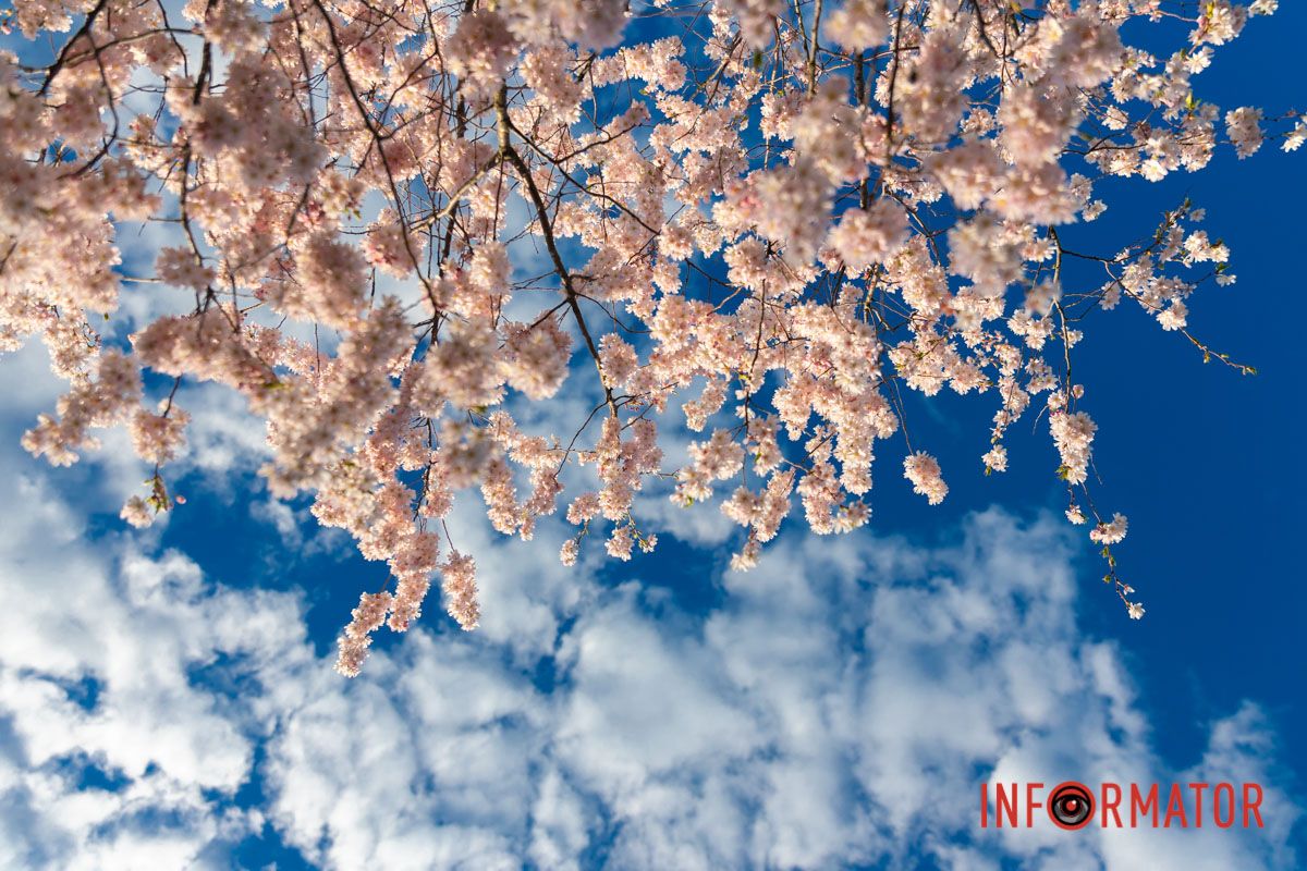 Нехай гарячий вітер сушить