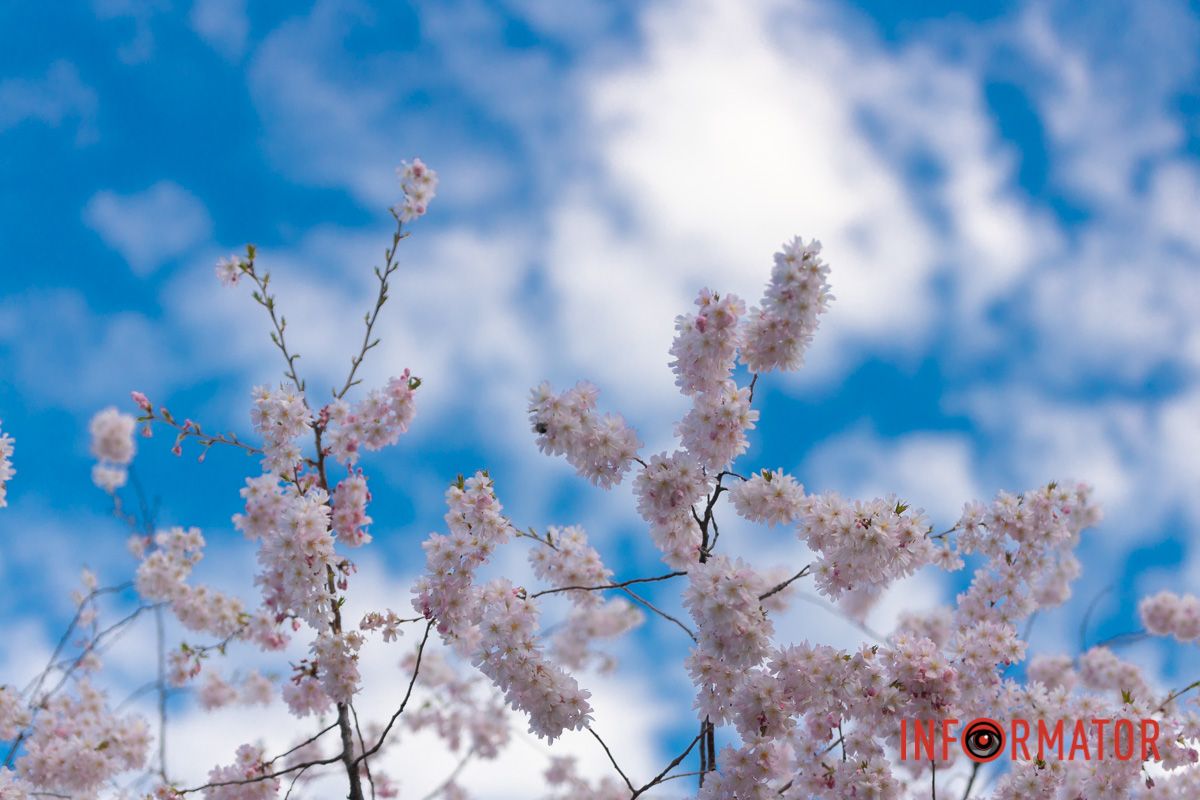 Несхожий зовсім світ людський.