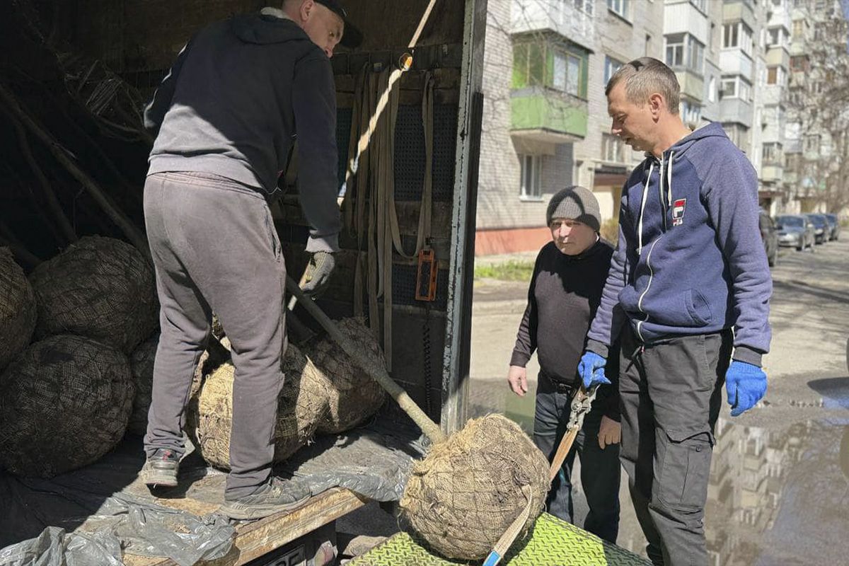 Всі висаджені дерева - сімейні