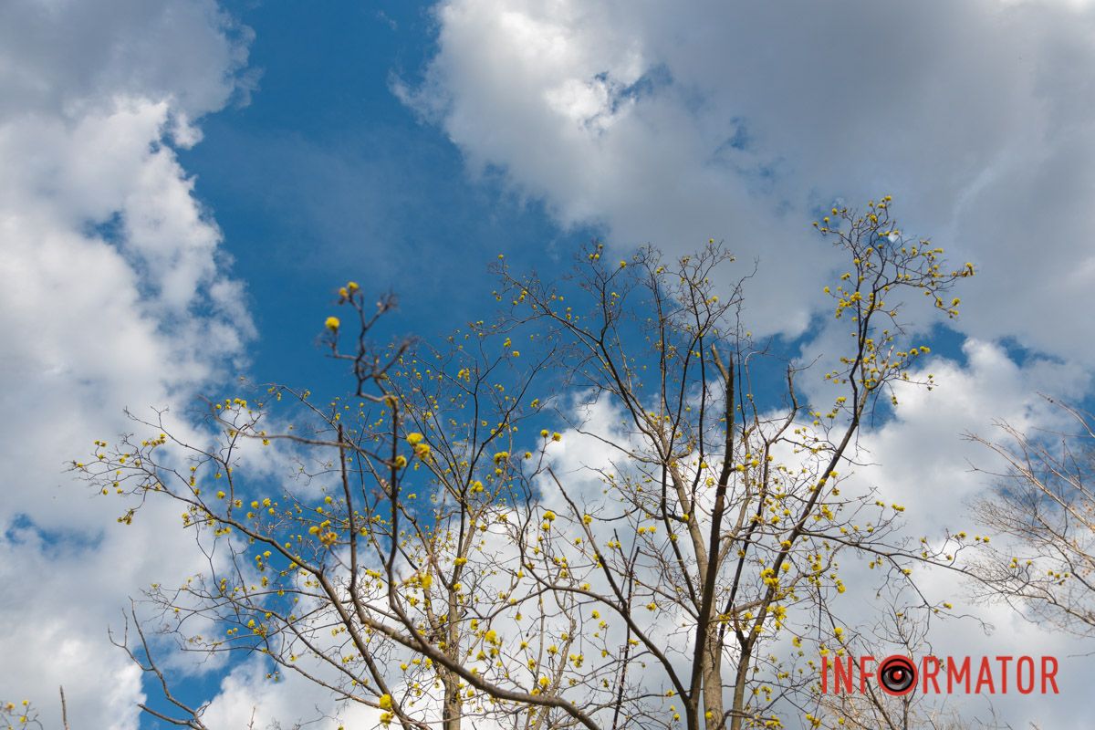 Весна не знає, що іде війна,