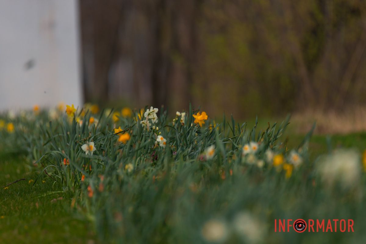 Весна не знає, що іде війна,